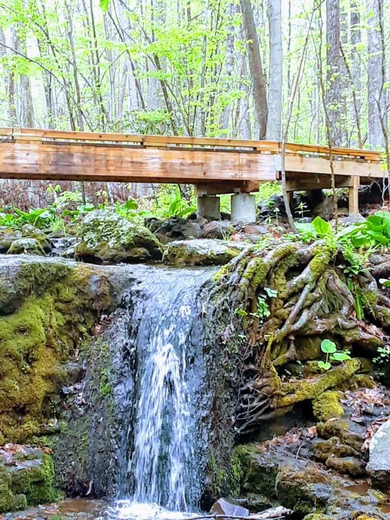 small waterfall in woods with wooden bridge behind