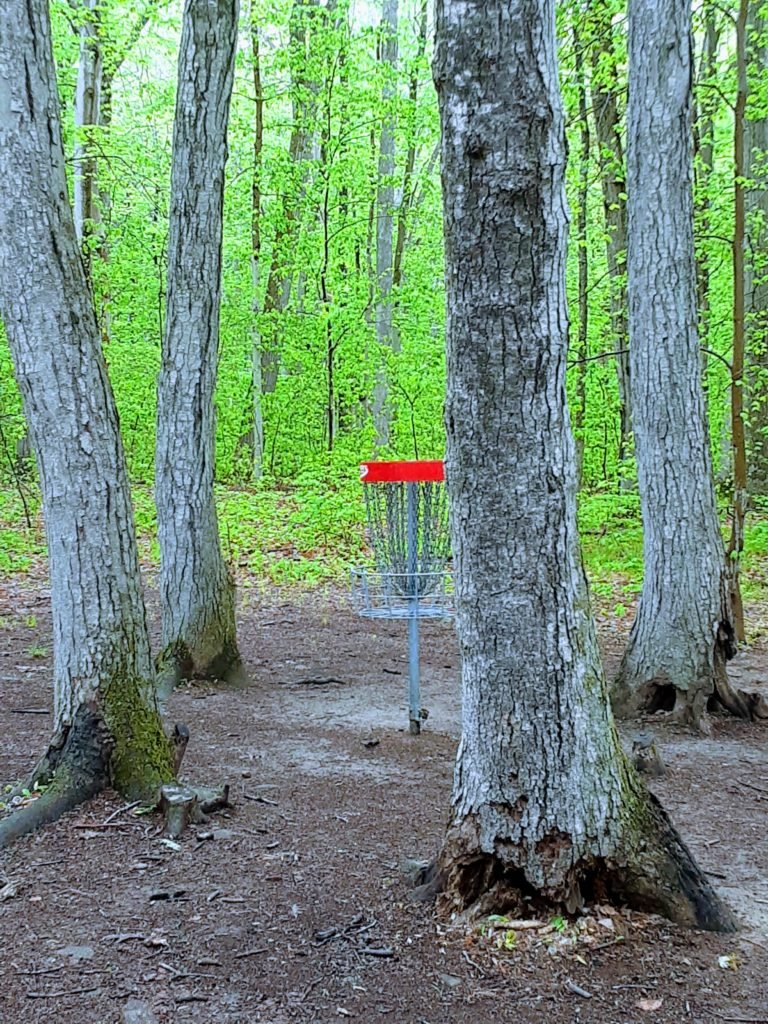 disc golf basket surrounded by four trees
