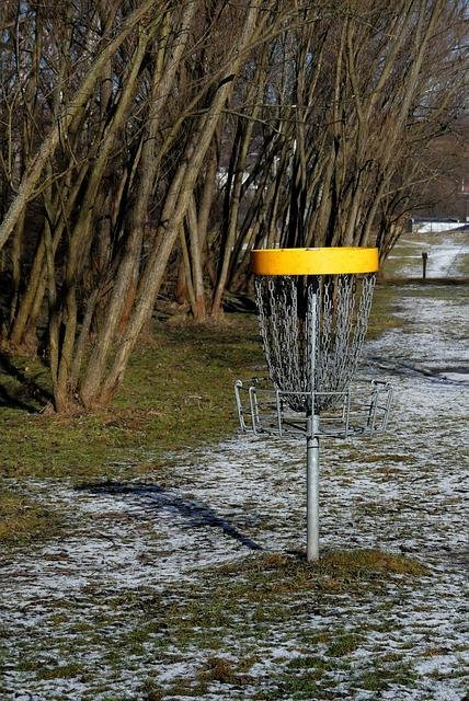 disc golf basket in field at edge of trees