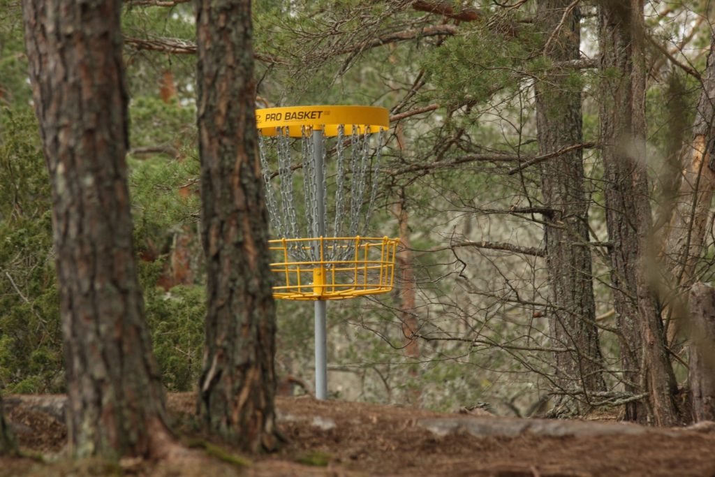 yellow and black disc golf basket by tree