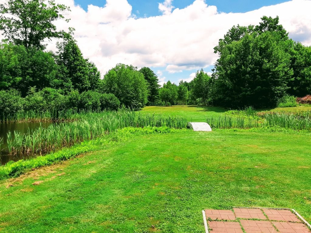 disc golf tee shot over bridge and water