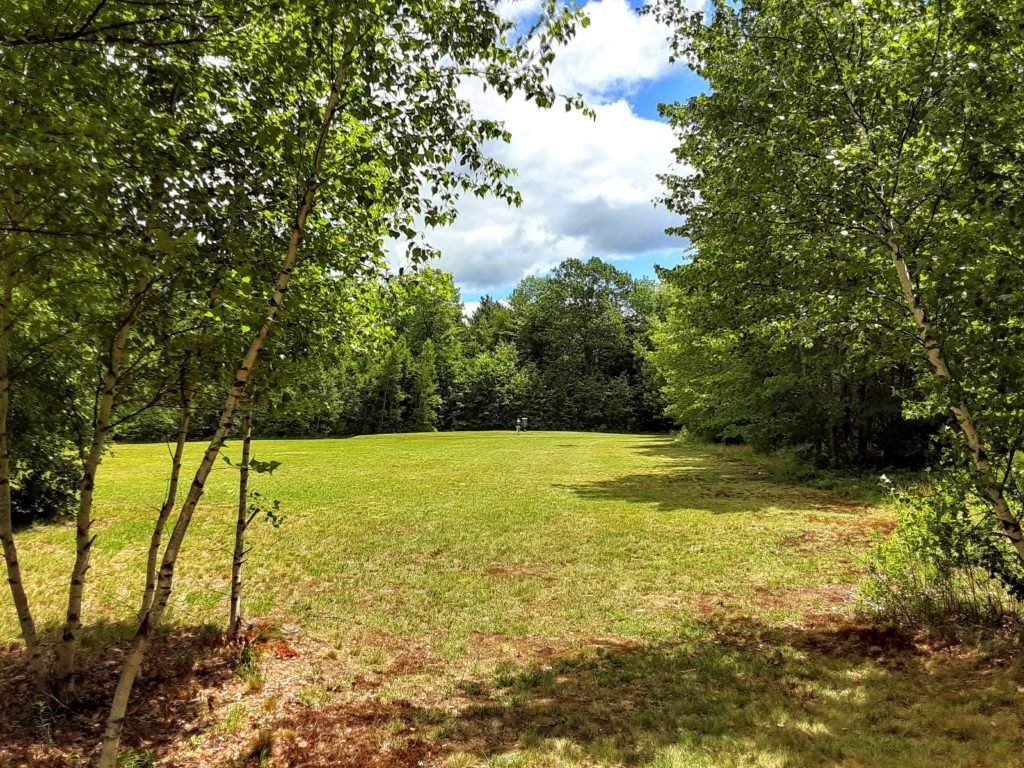 open field for disc golf hole