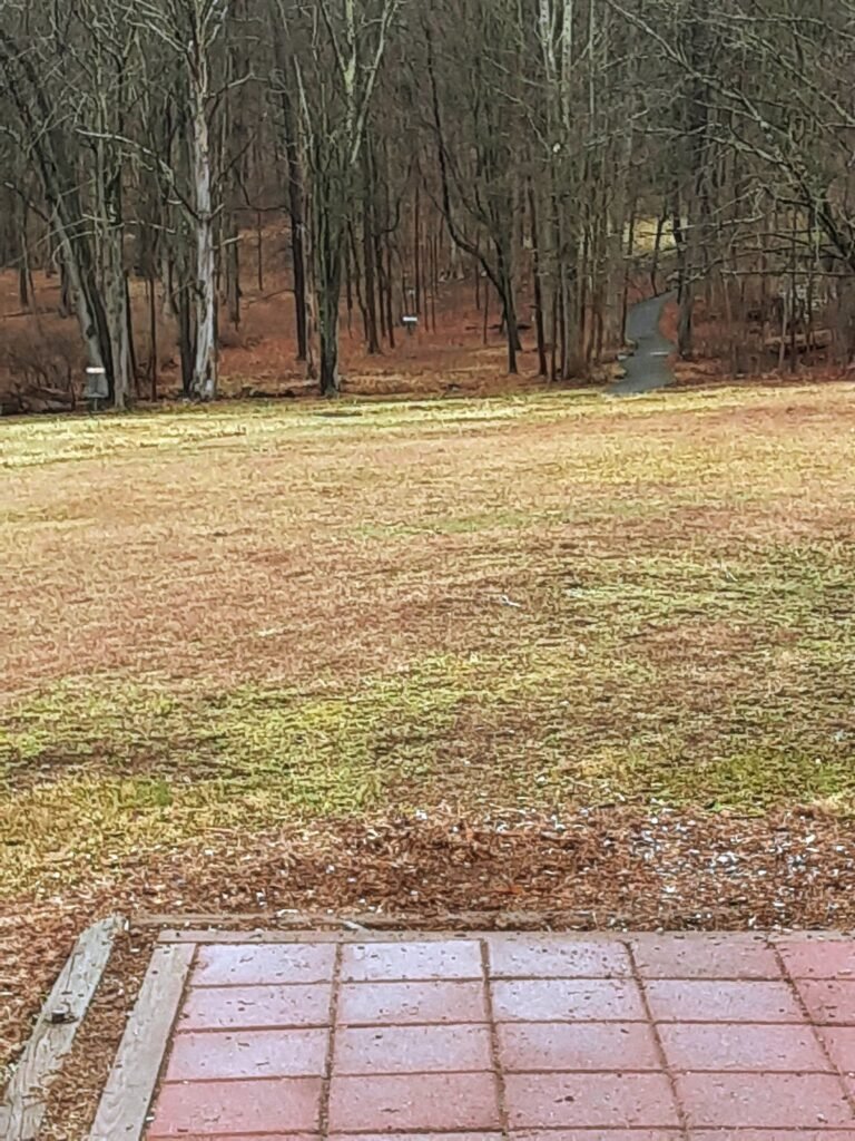 Brick paver tee pad looking over open fields at FDR State Park Disc Golf Course.