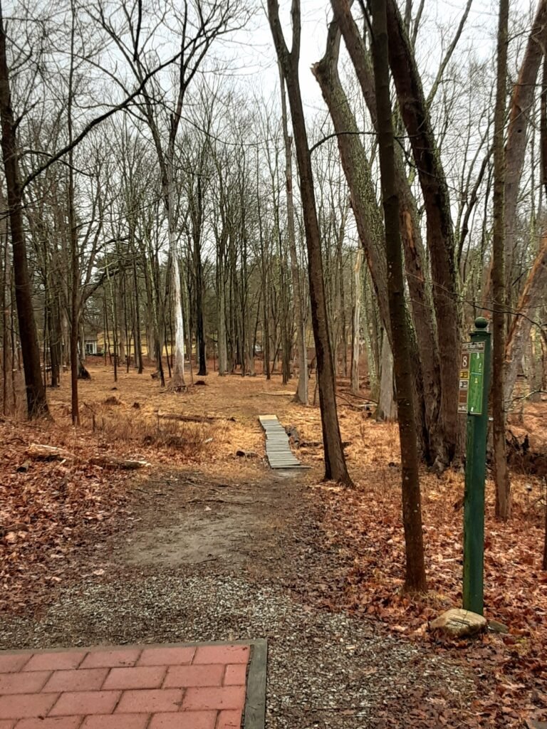 picture of a boardwalk over mud at hole 8 of FDR State Park Disc Golf Course.