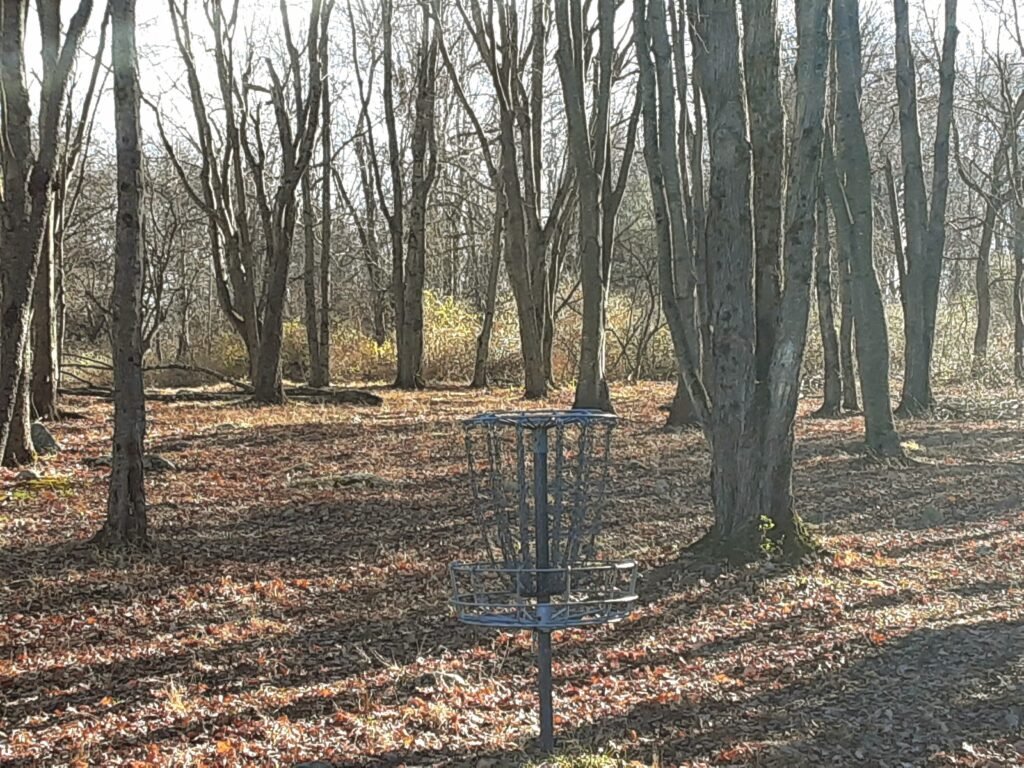 View of basket in woods at Northampton State Hospital Disc Golf Course.