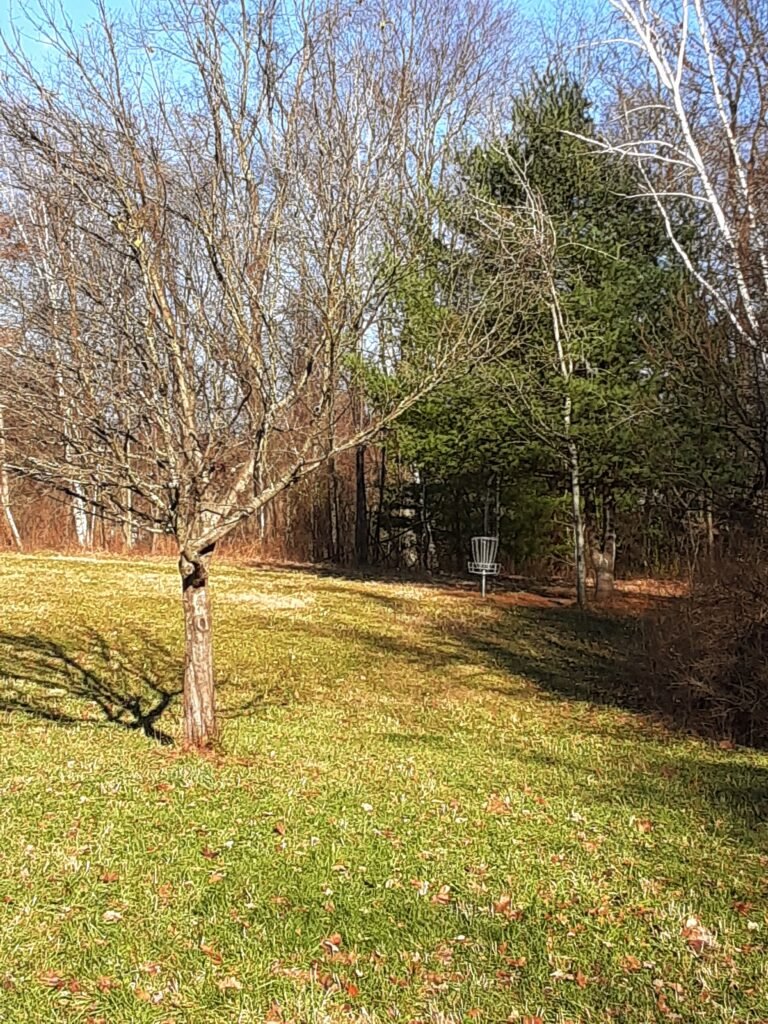 View of basket at Northampton State Hospital Disc Golf Course.