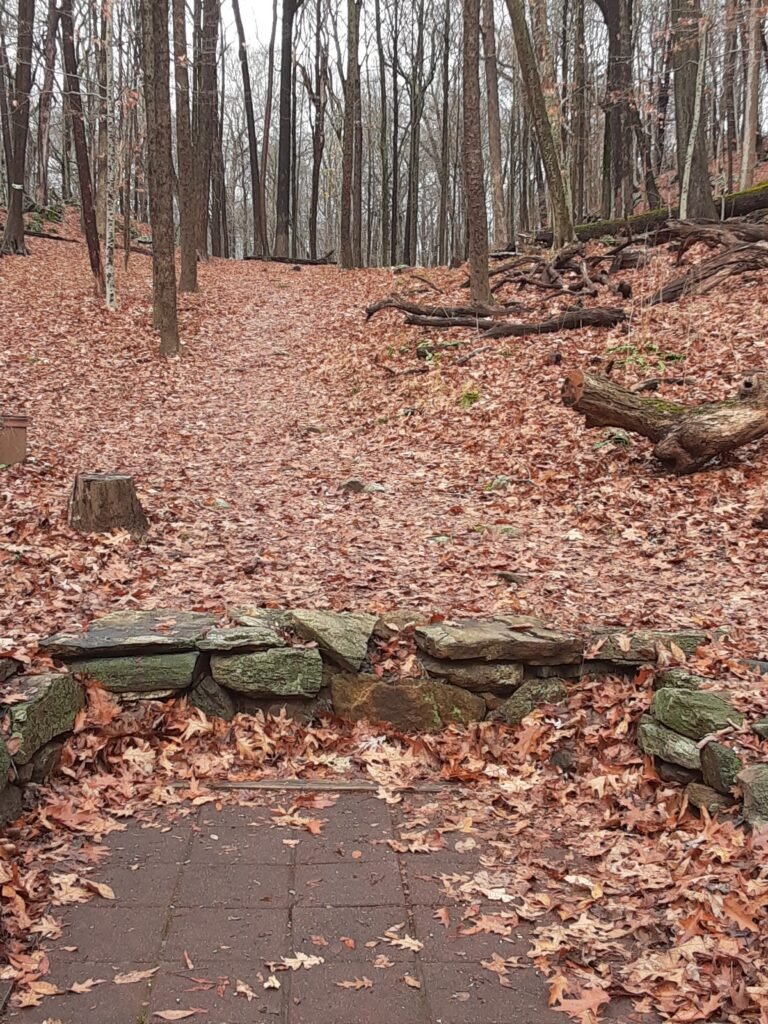Hole 10 with stone encased tee pad.