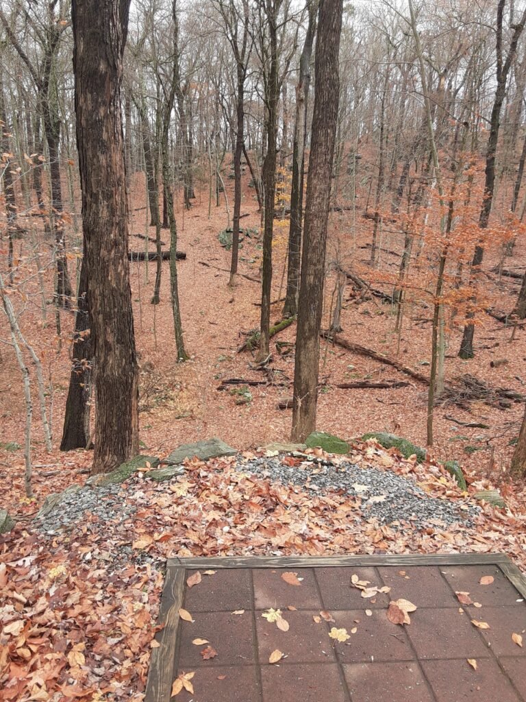 elevated tee pad at Leonard Park Disc Golf Course!
