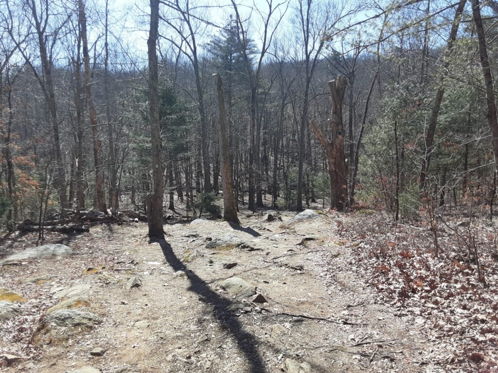 Crane Hill Disc Golf Course Downhill shot