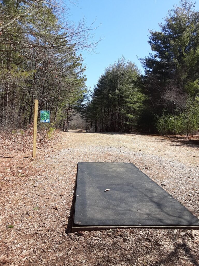 Crane Hill Disc Golf Course Open Shot